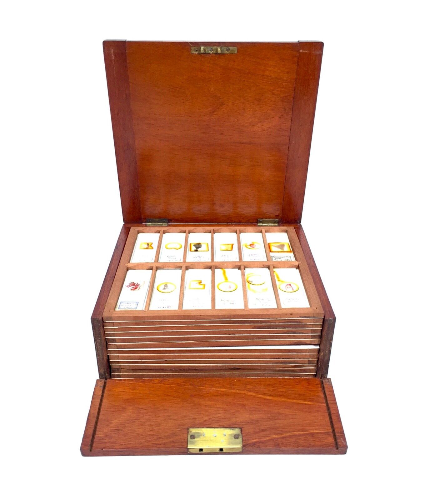 Antique Wooden Mahogany Microscope Slide Box / Storage Chest & Glass Slides 1900