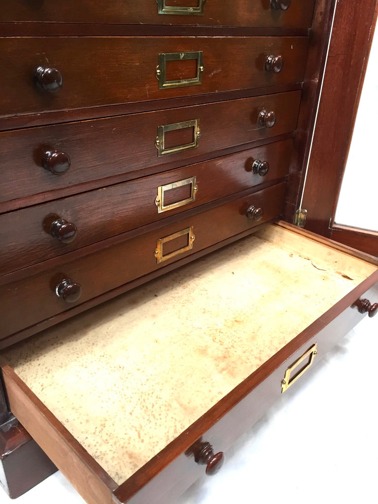 Antique Victorian Mahogany & Glass Specimen Collectors Filing Drawer Cabinet