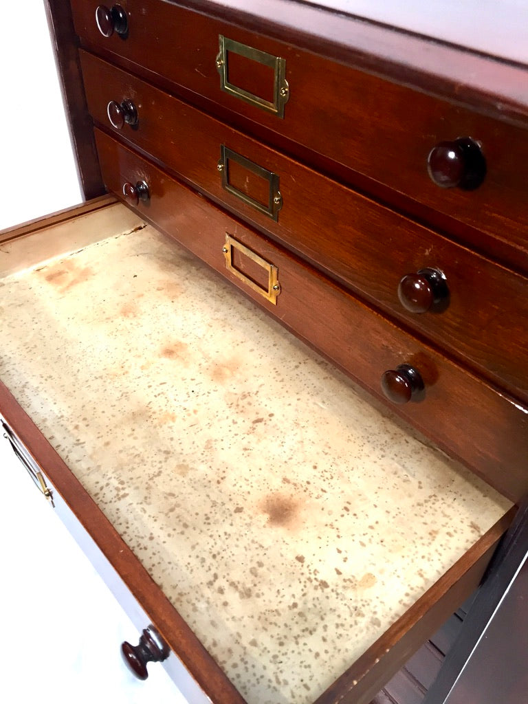 Antique Victorian Mahogany & Glass Specimen Collectors Filing Drawer Cabinet