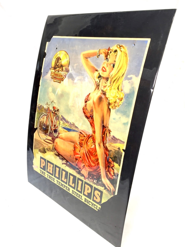 Antique Advertising - 20th Century Phillips Cycles Promotional Poster Sign c1950