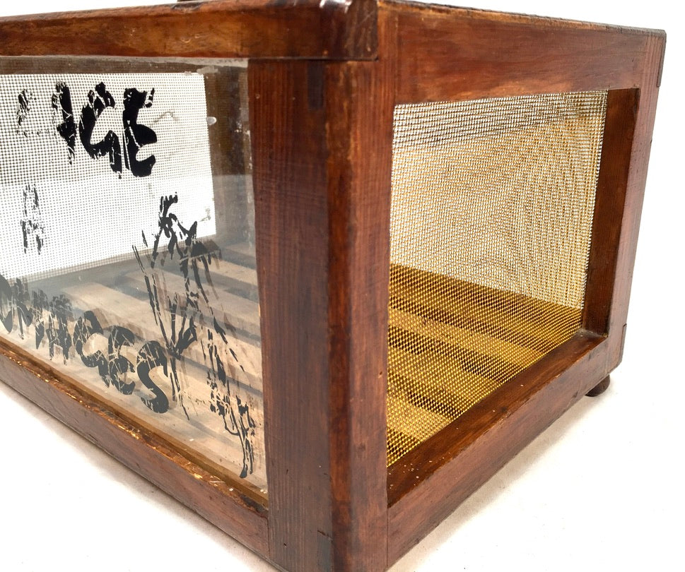 Vintage French Wooden & Glass Cheese Box Keeper / Cave à Fromage / Antique