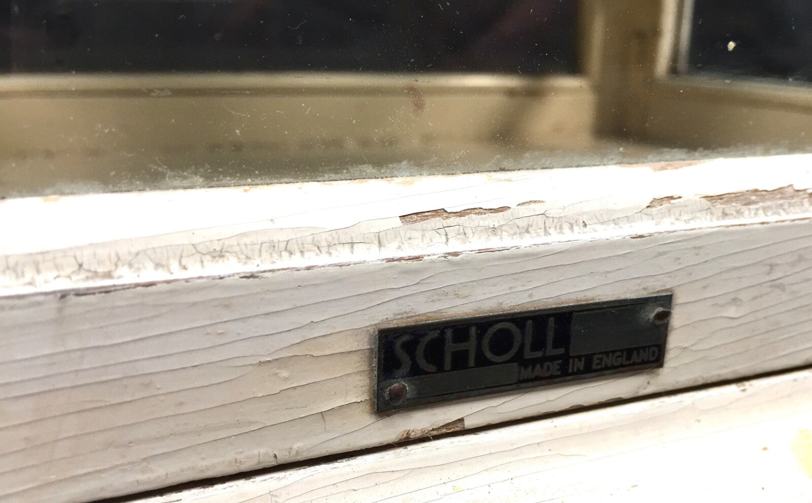 45005658