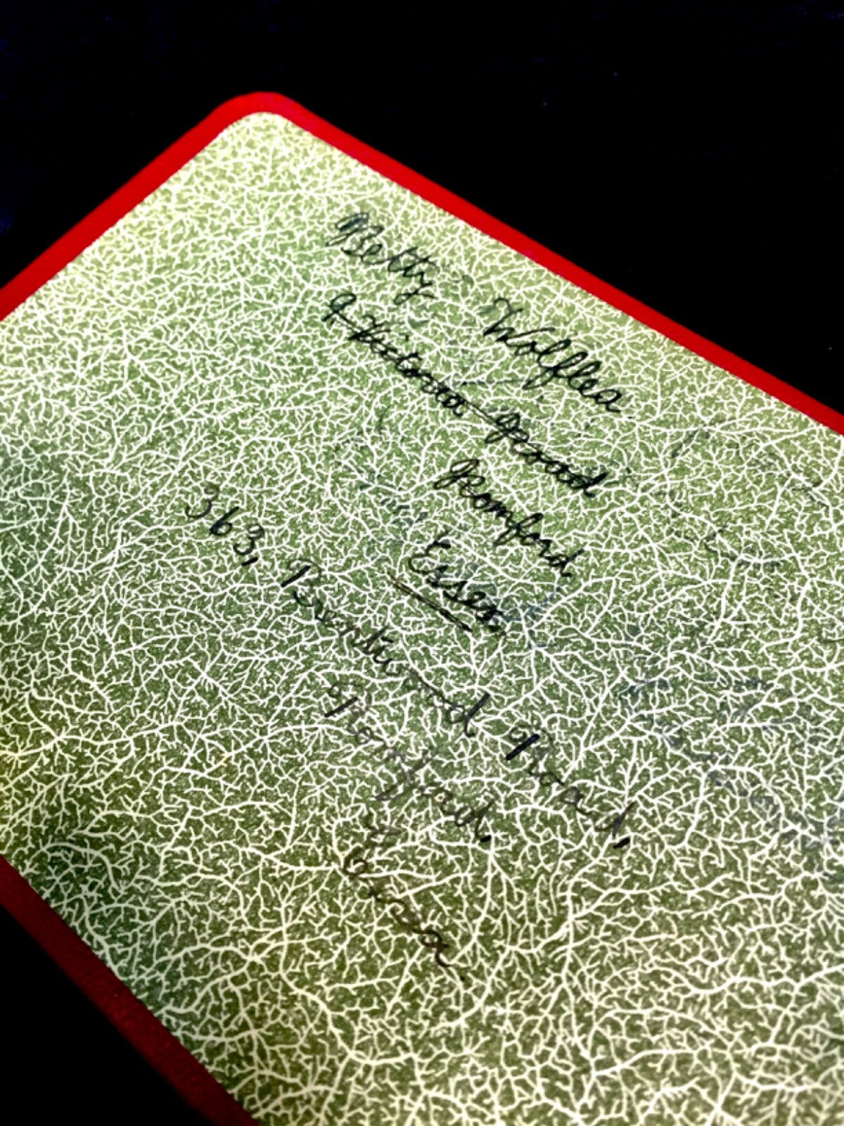 44633005