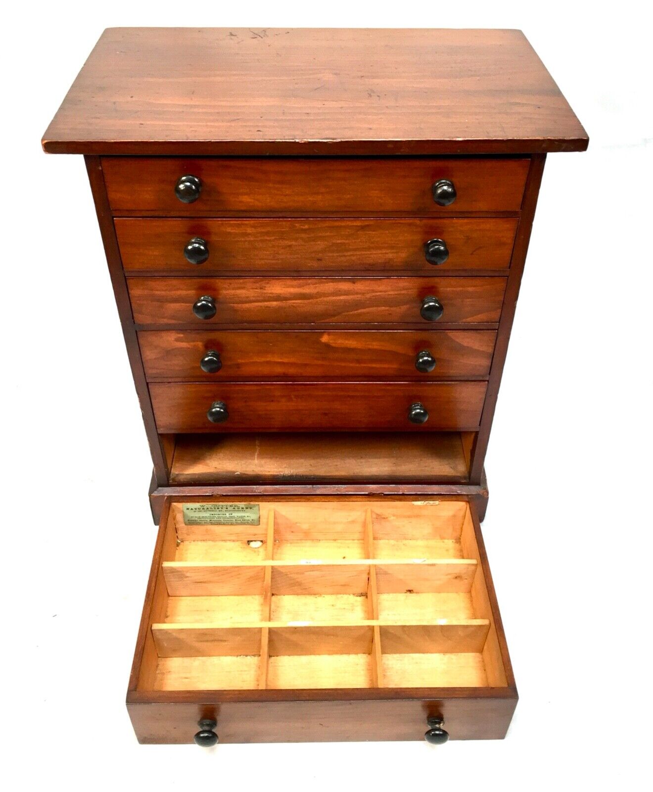 Antique 19th Century Wooden Tabletop Collectors Cabinet Chest of Drawers c.1880