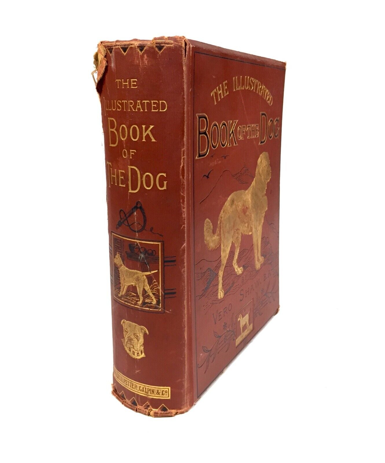 Antique The Illustrated Book of the Dog By Vero Shaw First Edition 1881 Complete