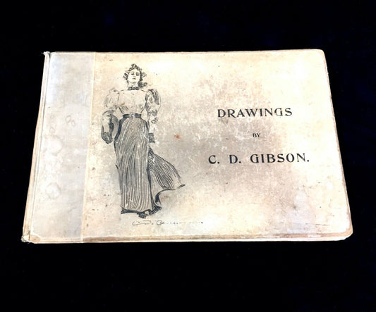 Antique Drawings by Charles Dana Gibson Illustrated Landscape Folio Book 1896