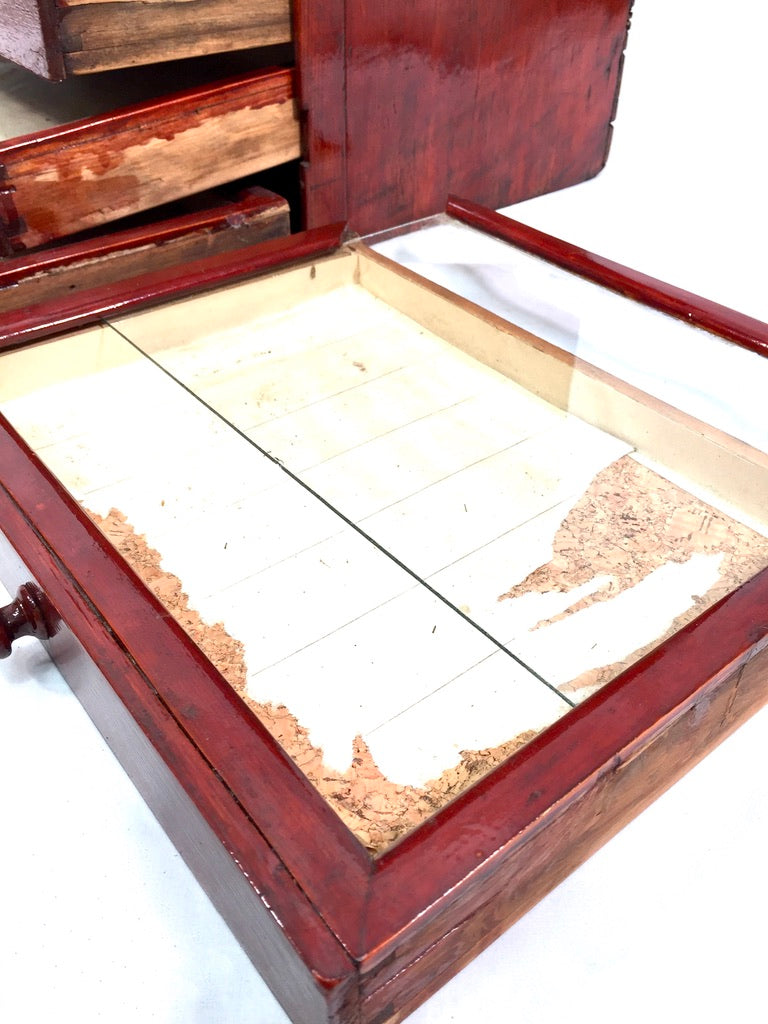 Antique Tabletop Stained Wooden Chest of Specimen Collectors Drawers c.1930