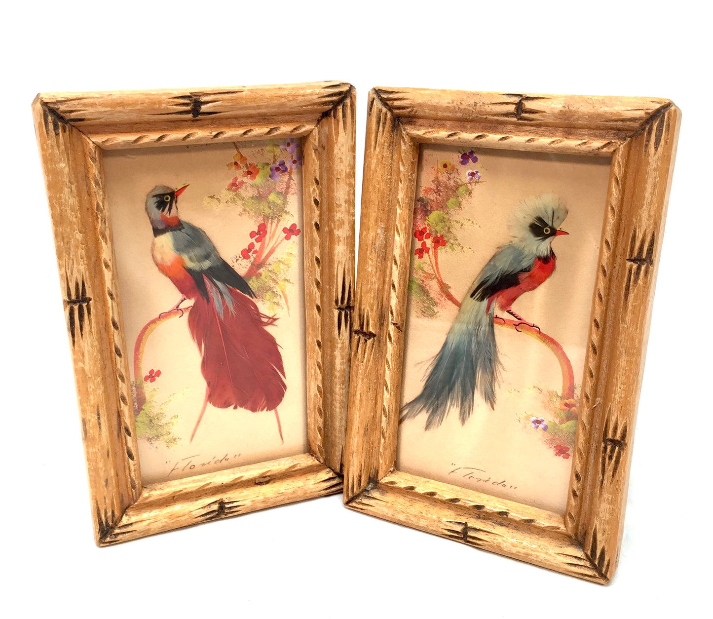Antique Pair of Carved Wooden Framed Mexican Feather Craft Bird Pictures / Art