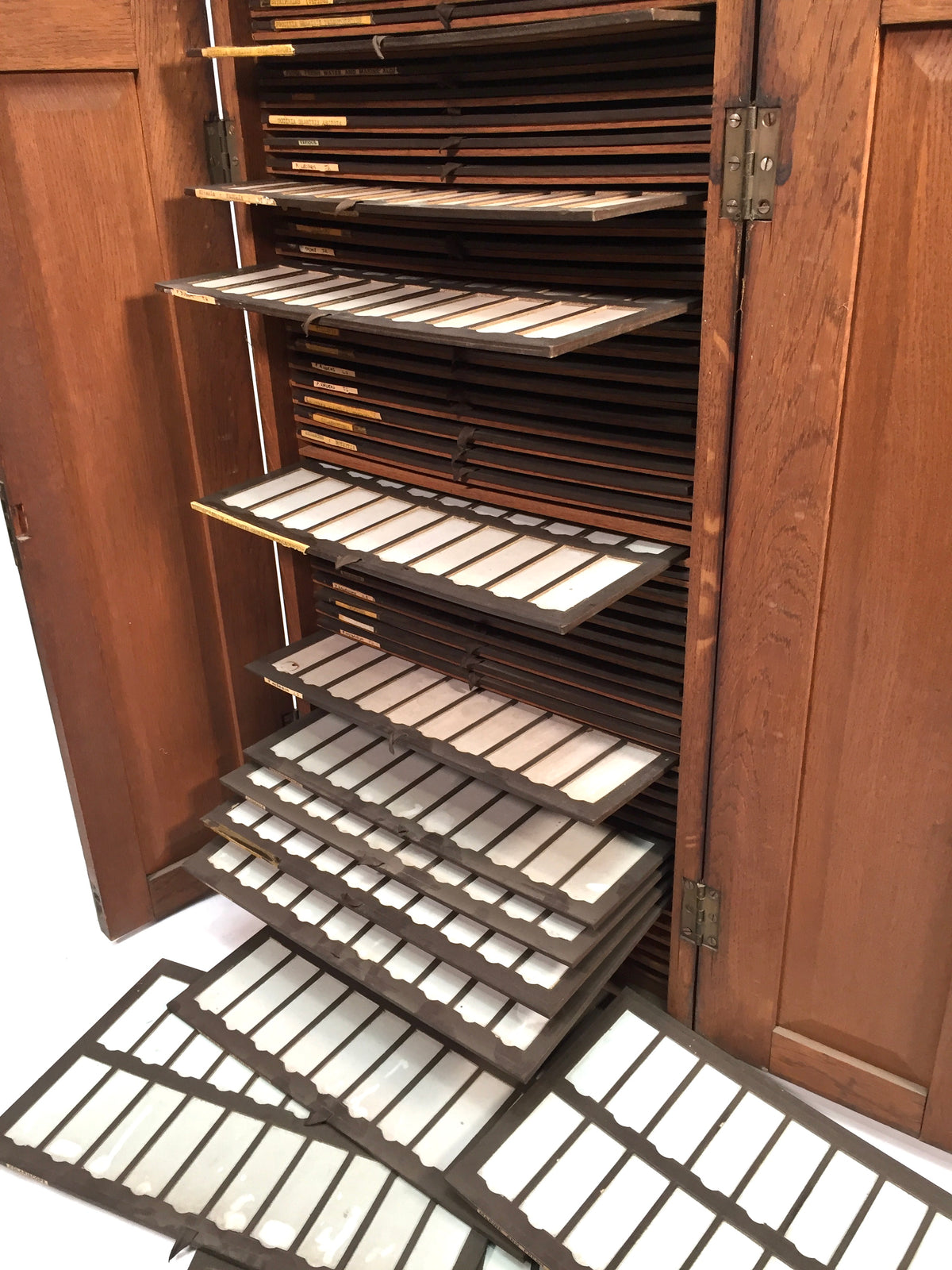 Antique Large Wooden Microscope Slide Collectors Cabinet Box / Holds 920 Slides