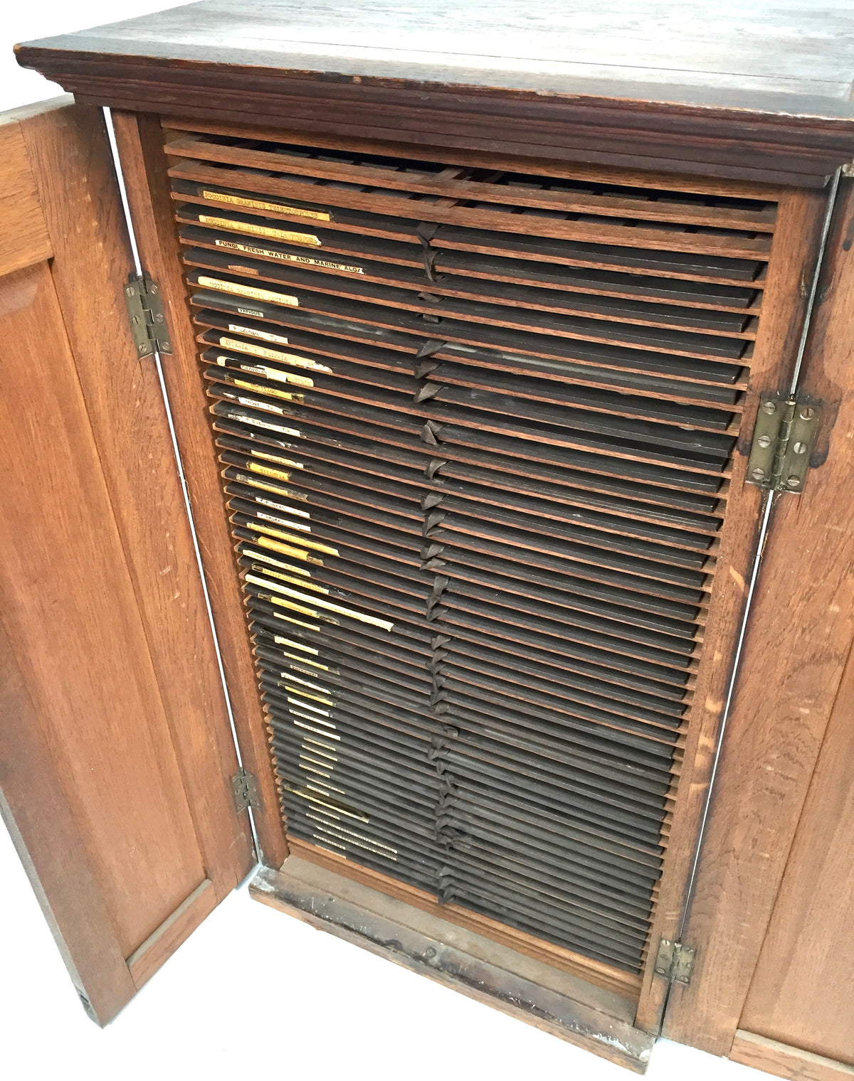 Antique Large Wooden Microscope Slide Collectors Cabinet Box / Holds 920 Slides