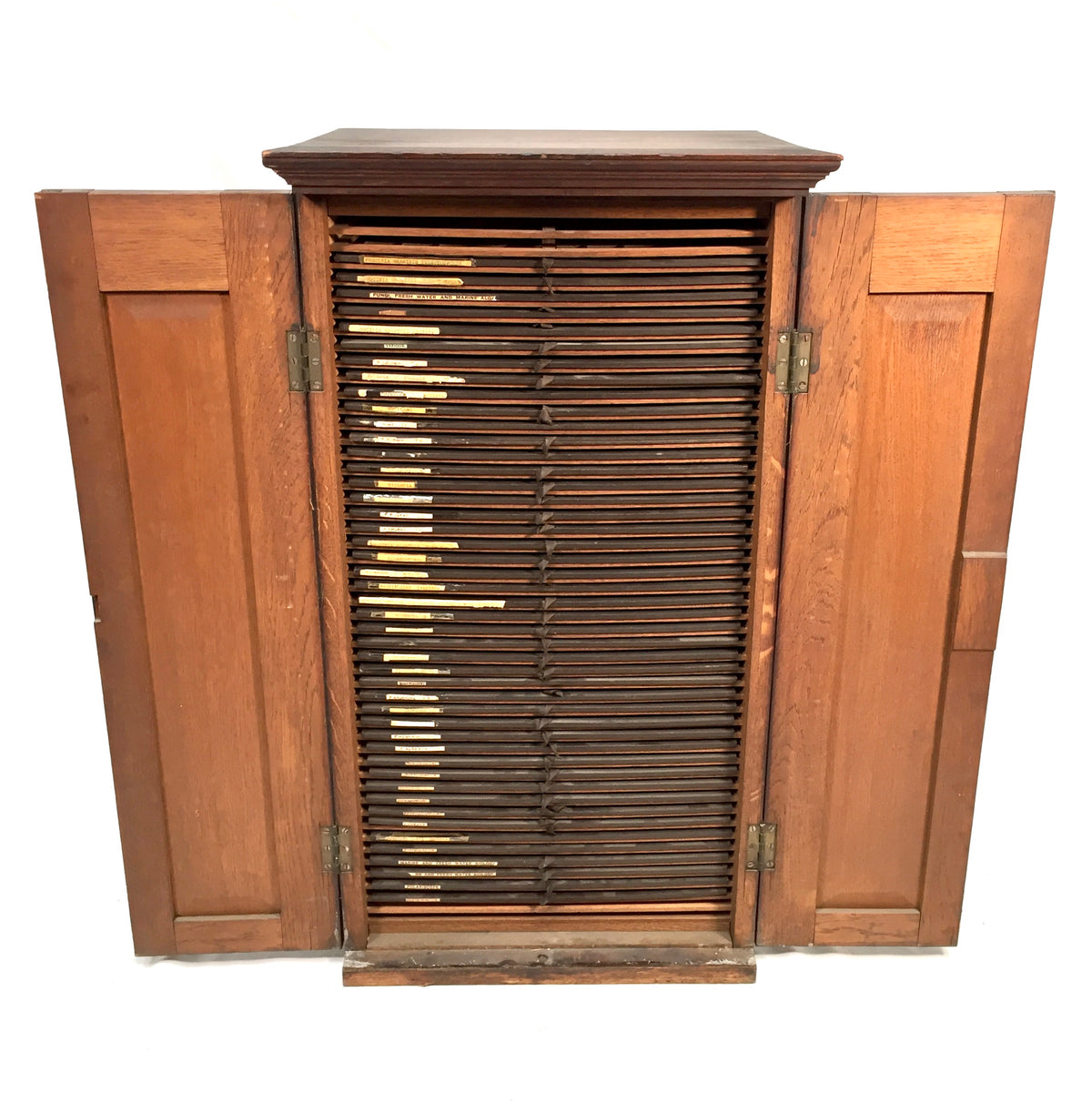 Antique Large Wooden Microscope Slide Collectors Cabinet Box / Holds 920 Slides