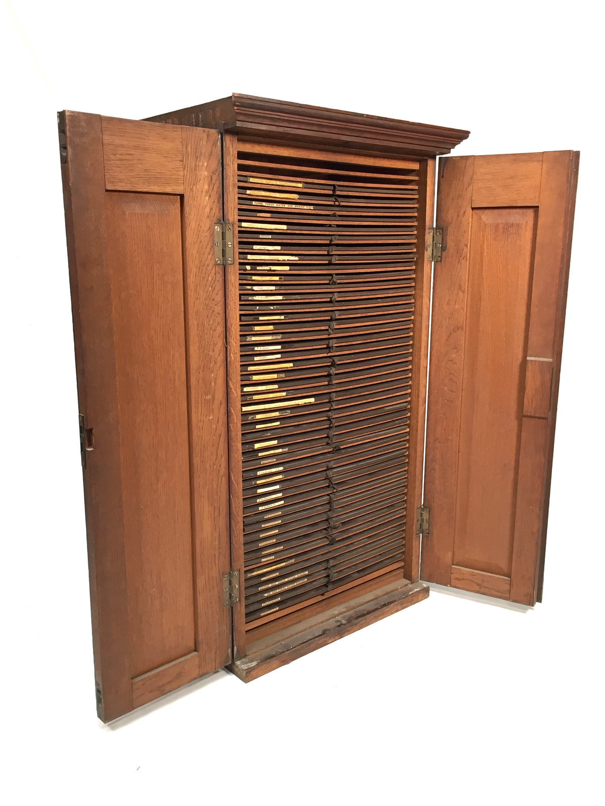 Antique Large Wooden Microscope Slide Collectors Cabinet Box / Holds 920 Slides