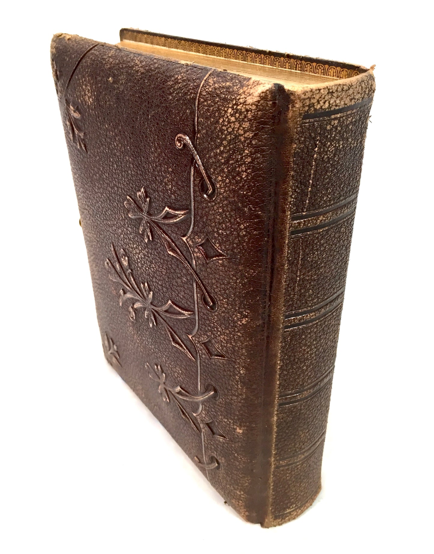 Antique 19th Century Victorian Brown Leather Bound & Brass Photo Album Book