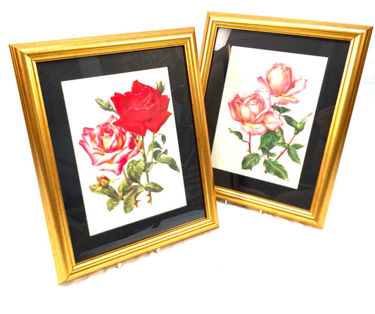 Vintage Framed Flower Picture Pair - The Amateur Gardening Magazine / Antique