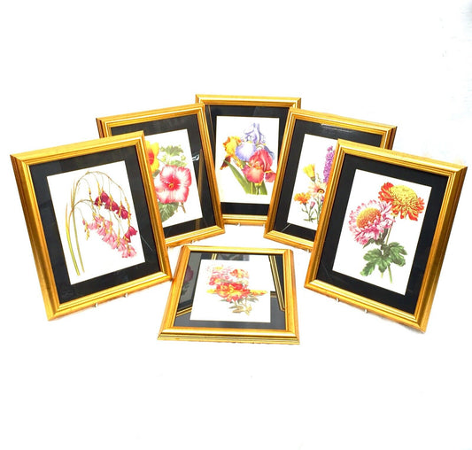 Vintage Framed Flower Picture Set of 6 The Amateur Gardening Magazine / Antique