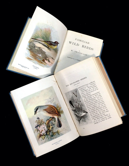 Familiar Wild Birds by W. Swaysland ~ 2 Volumes Coloured Plates 1st Edition 1901