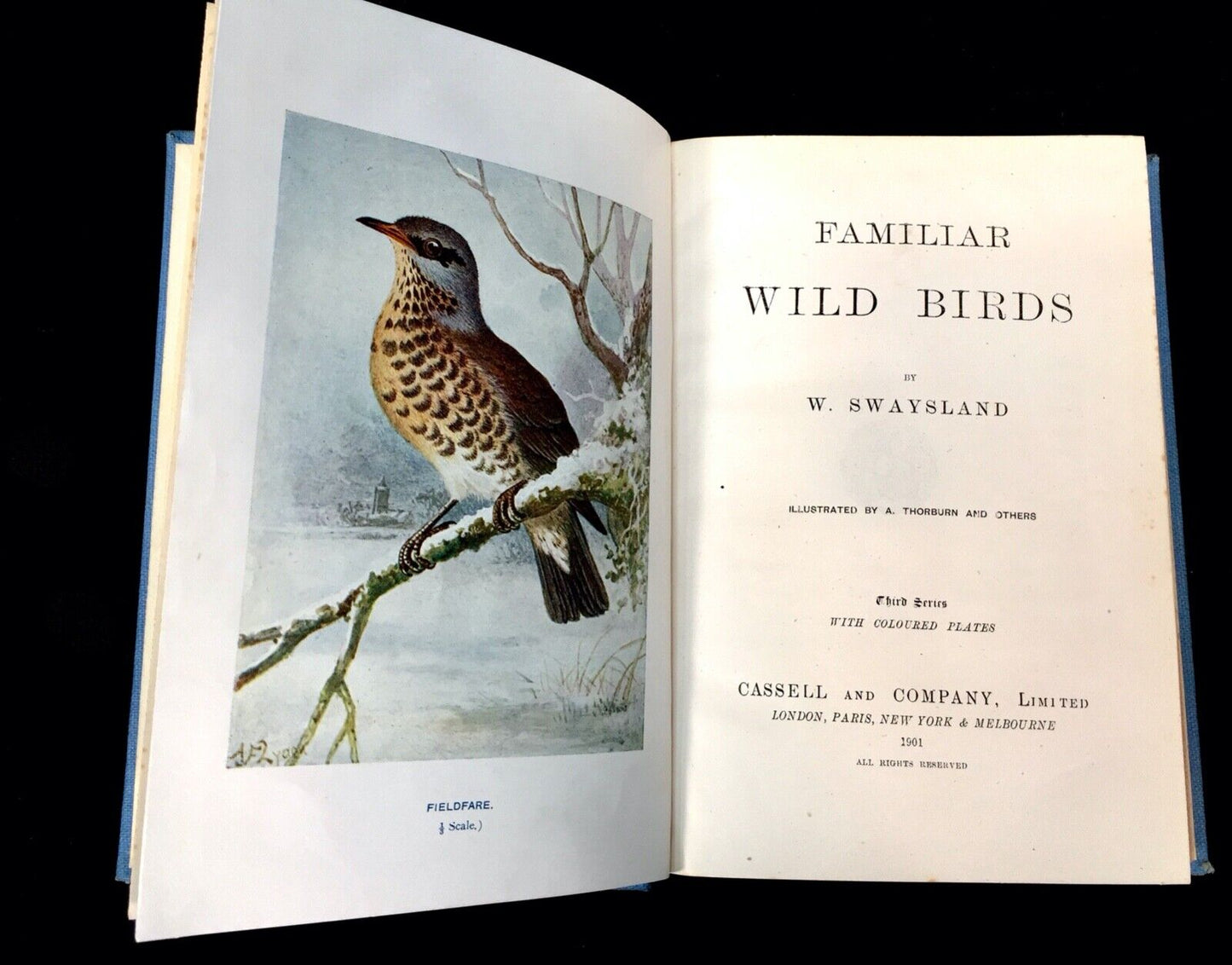 Familiar Wild Birds by W. Swaysland ~ 2 Volumes Coloured Plates 1st Edition 1901