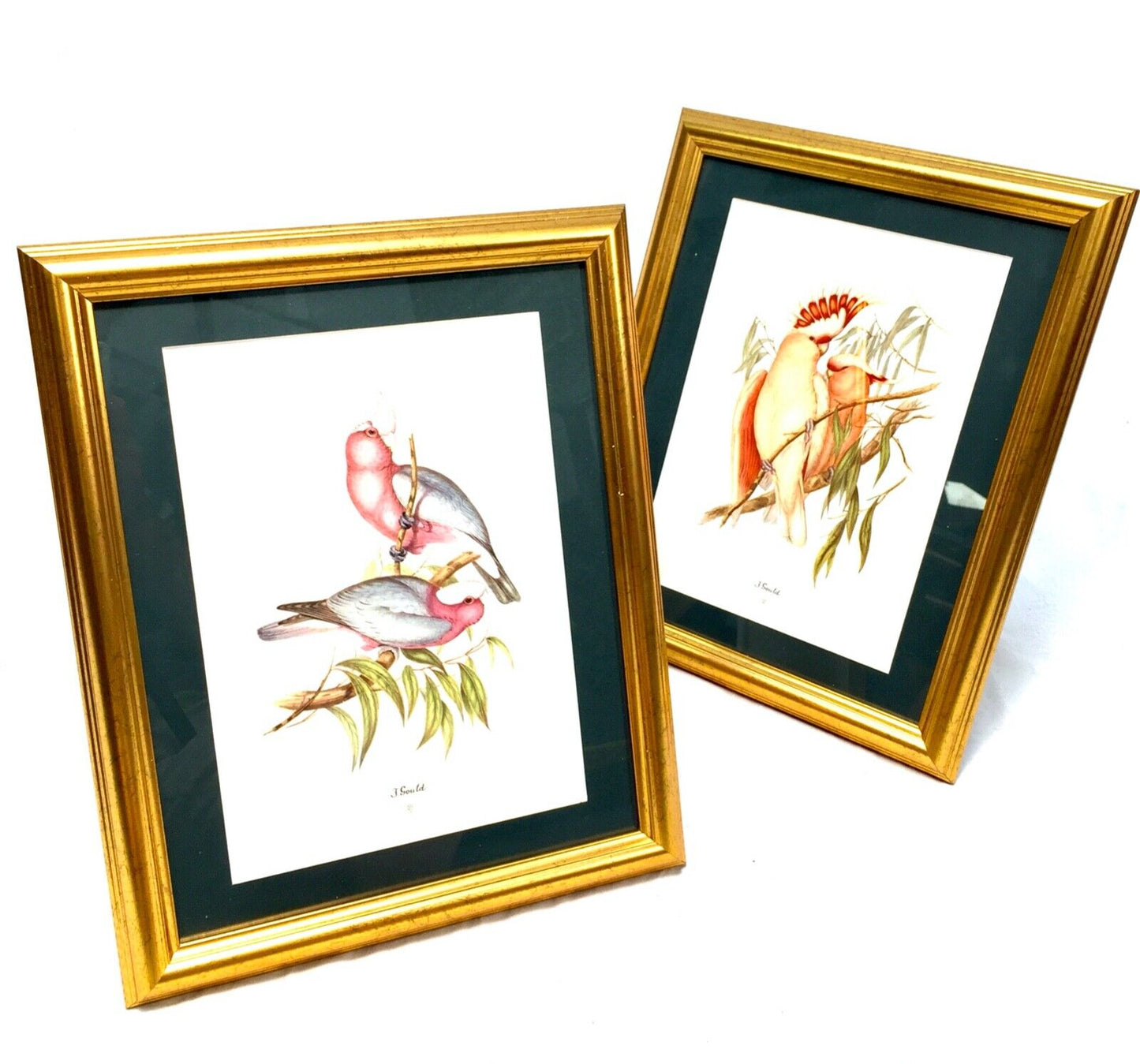 John Gould Bird Print Picture Pair - Published by Sidney Z. Lucas c.1930 Framed